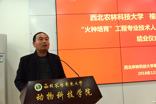 16fd7b777c774c83ab899d59b7a2a5ad.jpg 7.jpg