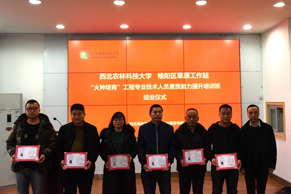 9007e115ab2449e7b72c7dc6d8cd8eb1.jpg 6.jpg