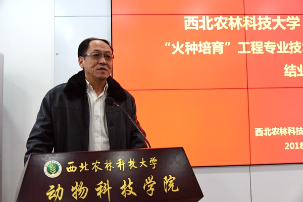 b6191d1955b94ef69634d2e589a0fc97.jpg 2.jpg