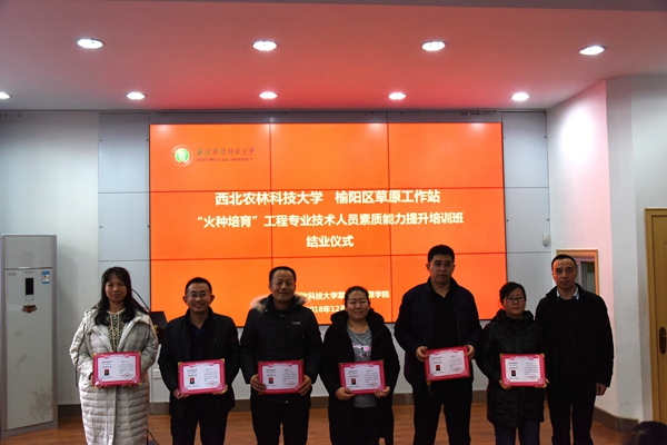 d208f62ee5804a43b93bfbfbe681e9c5.jpg 5.jpg