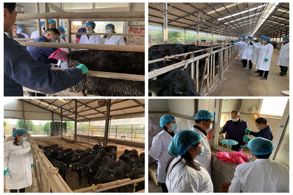 fadd8b9bd1c54338a3d0116b5c54a779.jpg 现场终版.jpg