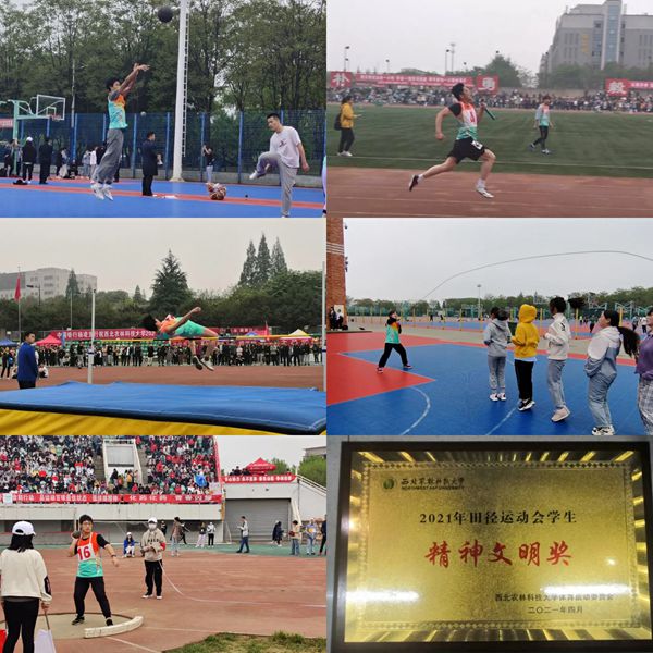 85f33a47c8c54858a673f24f687a18e5.jpg 运动会组图.jpg