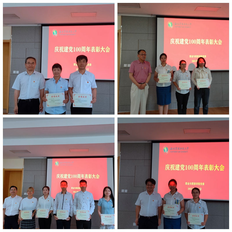 1b513279ce62432195911e8159a8f0fa.jpg NeoImage_副本.jpg