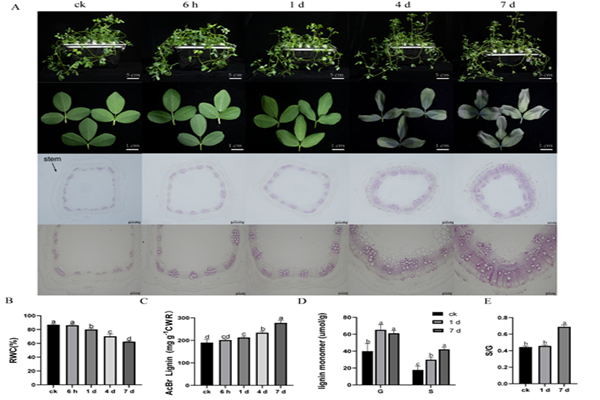 9e82947dc8c843d38111fb4f98e51da7.png QQ图片20230711154634_副本.png